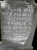 Fox, Allie May and Charlie H